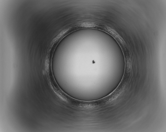 X0000116860533200912221140