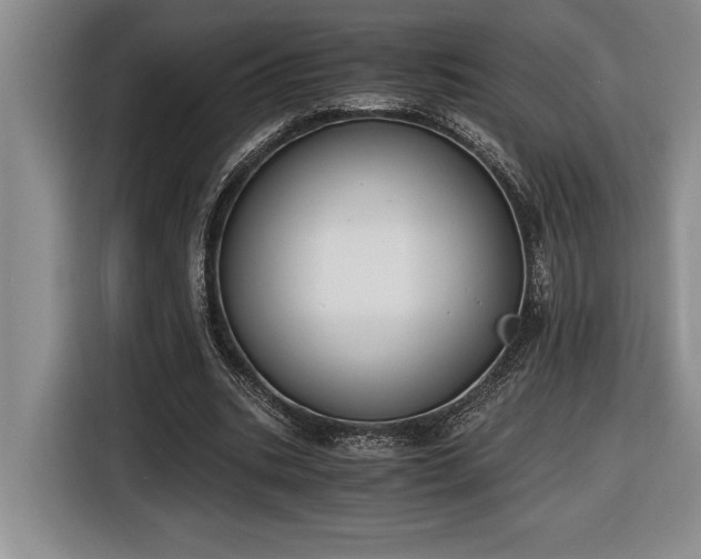 X0000116860535200912221140
