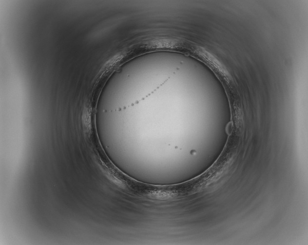 X0000116860537200912221140