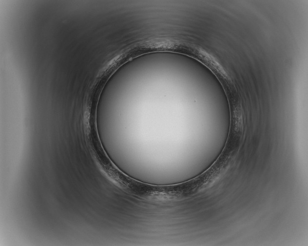 X0000116860538200912221140
