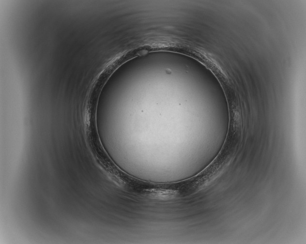 X0000116860539200912221140