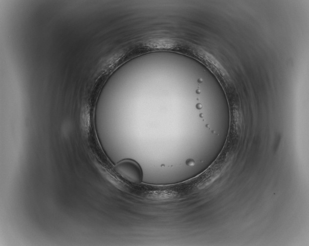X0000116860541200912221140