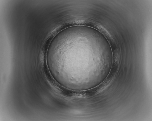 X0000116860542200912221140