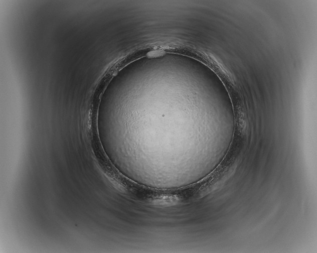 X0000116860543200912221140