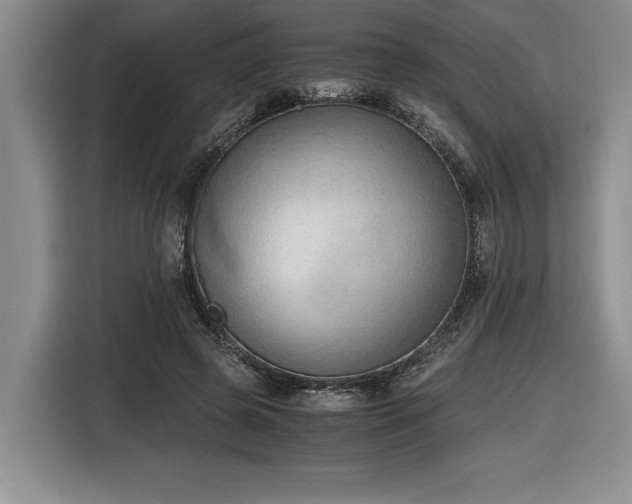 X0000116860545200912221140
