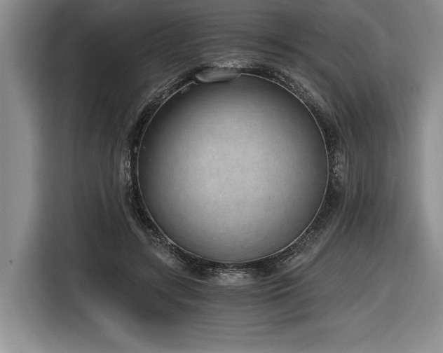 X0000116860547200912221140