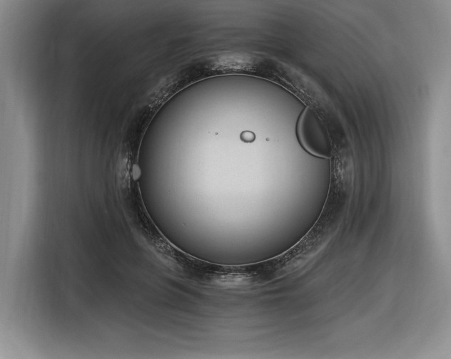 X0000116860551200912221140