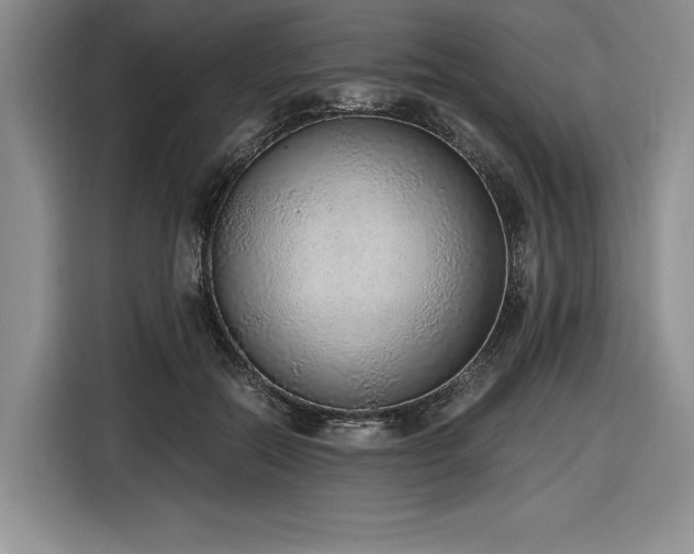 X0000116860554200912221141