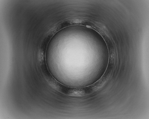 X0000116860555200912221141