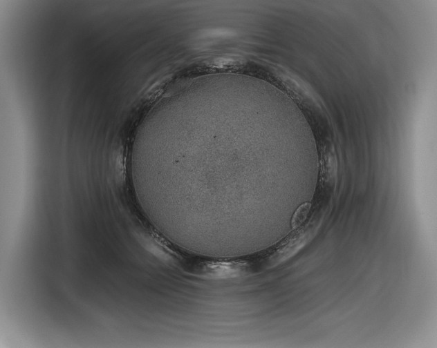 X0000116860558200912221141