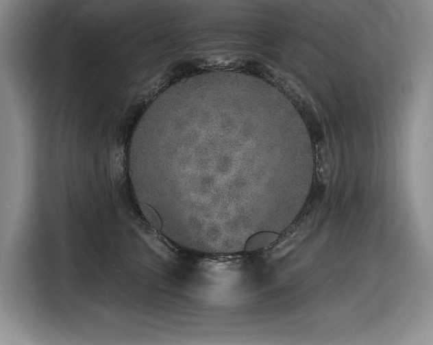 X0000116860563200912221141