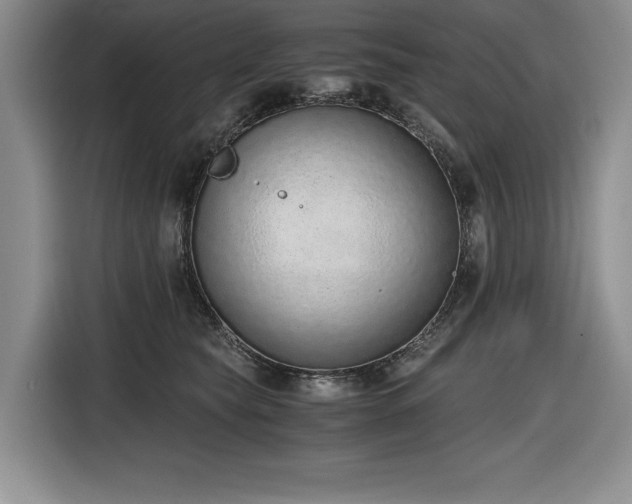 X0000116860565200912221141
