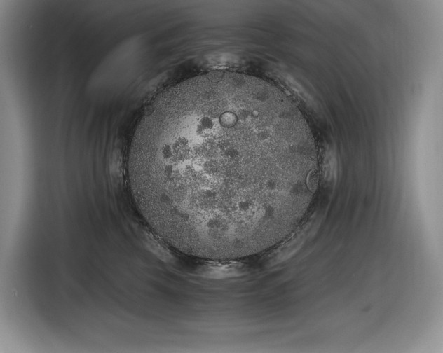 X0000116860569200912221141