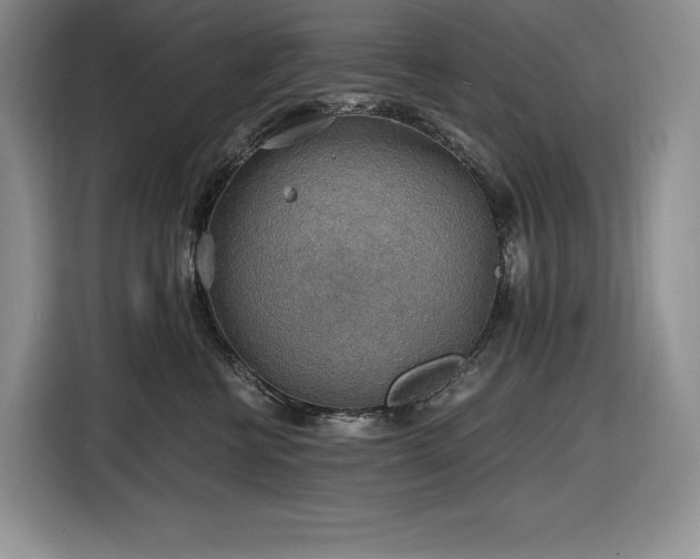 X0000116860570200912221141