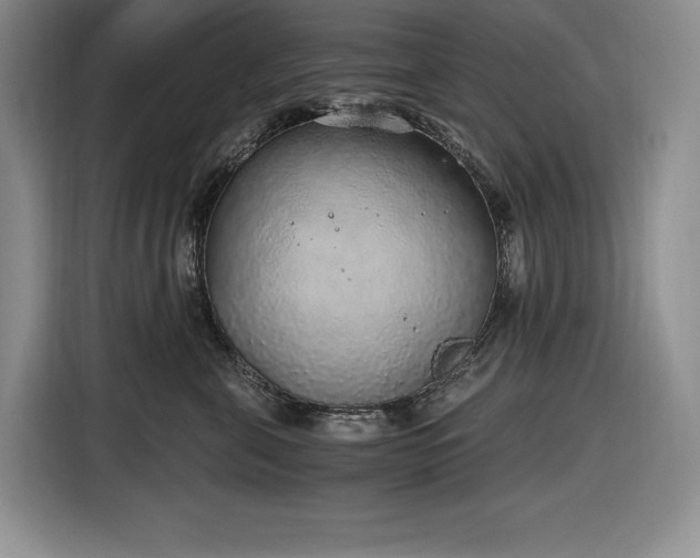 X0000116860571200912221141