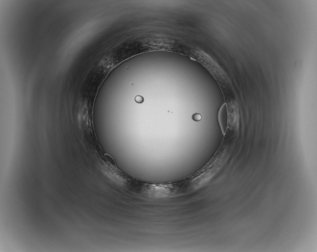 X0000116860573200912221141
