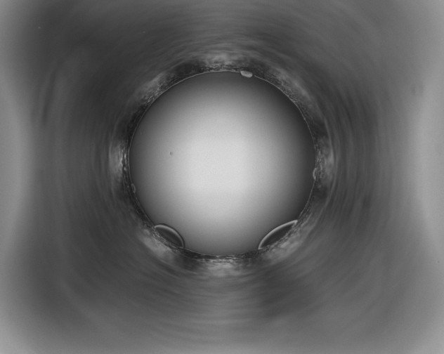 X0000116860574200912221141