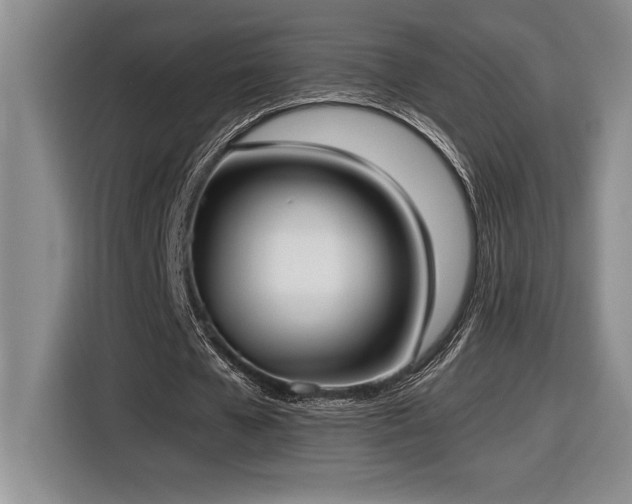 X0000116860577200912221140