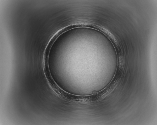 X0000116860580200912221140