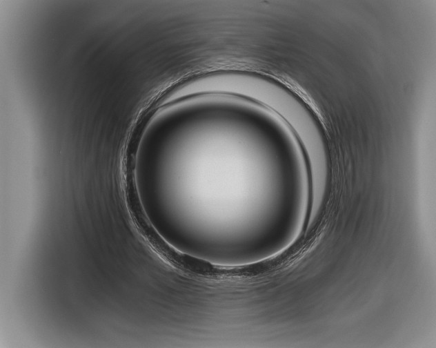 X0000116860581200912221140