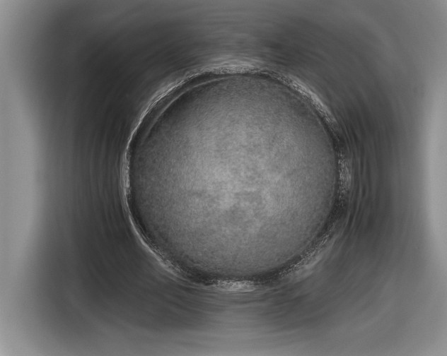 X0000116860582200912221140