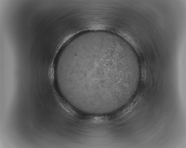 X0000116860584200912221140