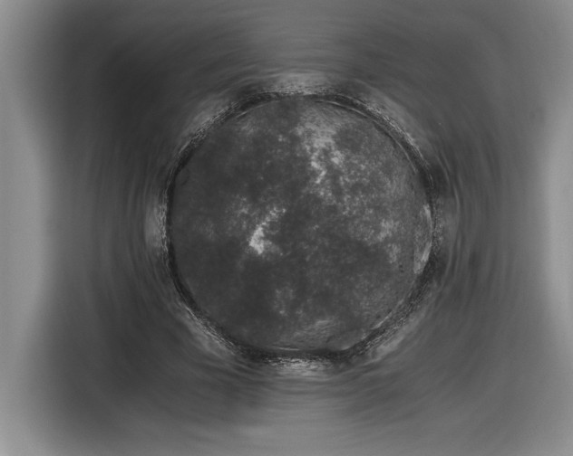 X0000116860585200912221140