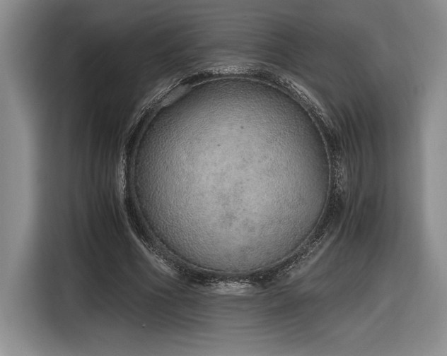 X0000116860586200912221140