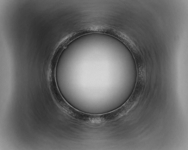 X0000116860587200912221140