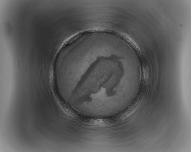 X0000116860588200912221140