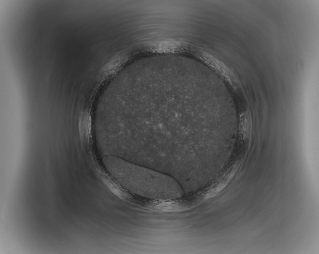 X0000116860589200912221140