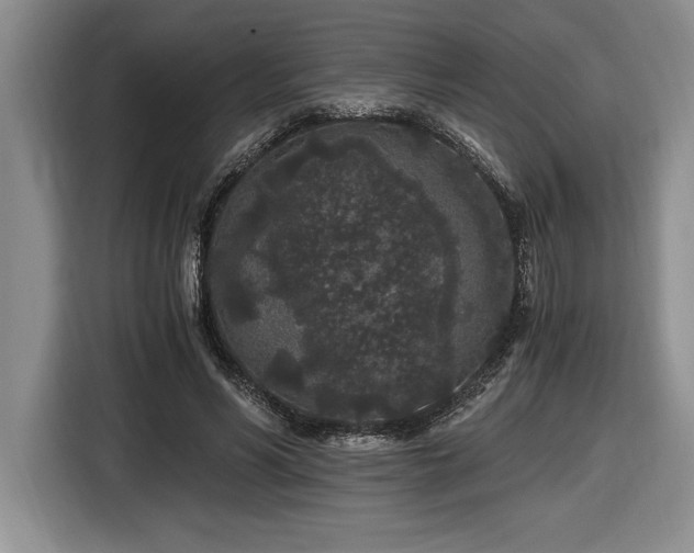 X0000116860590200912221140