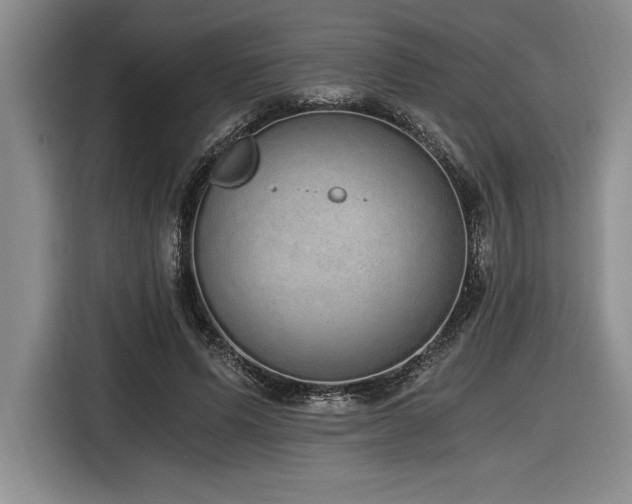 X0000116860591200912221140