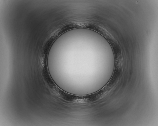 X0000116860595200912221140