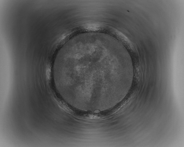 X0000116860596200912221140