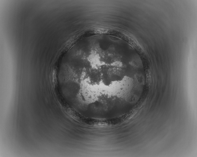 X0000116860598200912221140