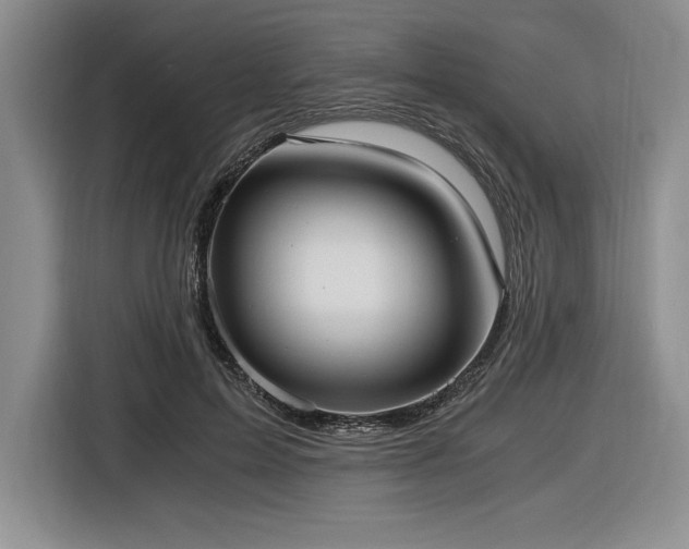X0000116860599200912221140