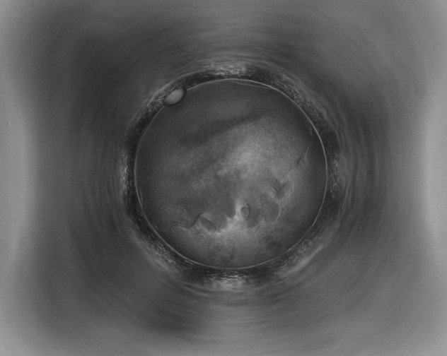 X0000116860600200912221140
