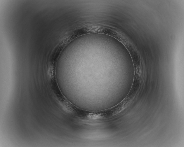 X0000116860602200912221140