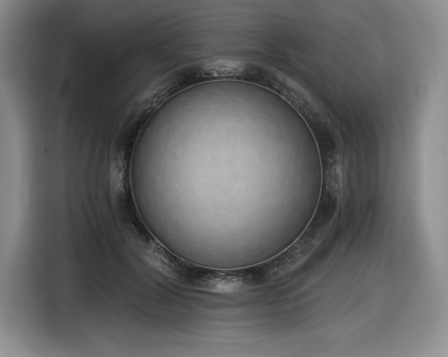 X0000116860604200912221140