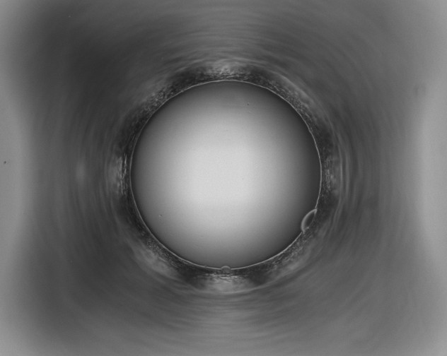 X0000116860605200912221140