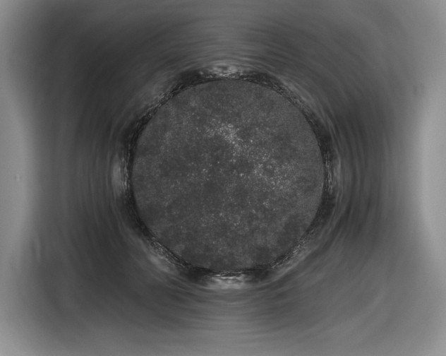X0000116860606200912221140