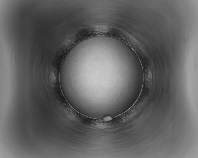 X0000116860608200912221140