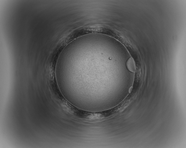 X0000116860609200912221140