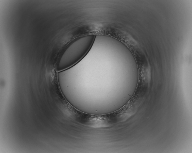 X0000116860611200912221140