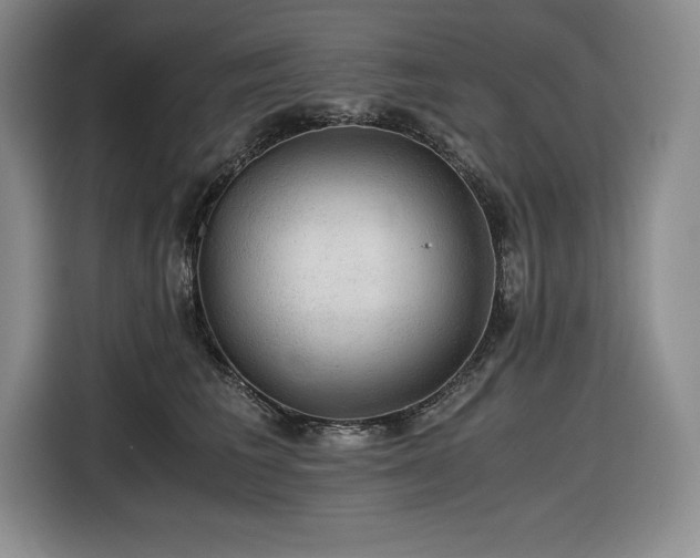 X0000116860613200912221140