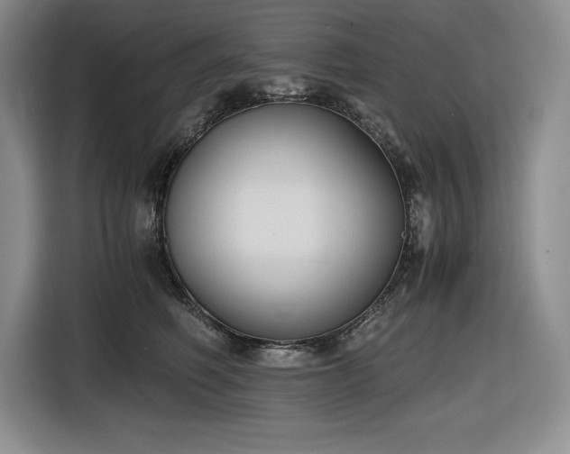 X0000116860614200912221140