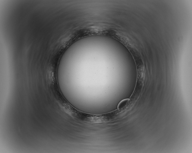 X0000116860615200912221140