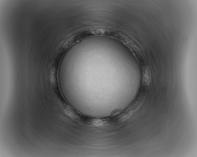 X0000116860616200912221140