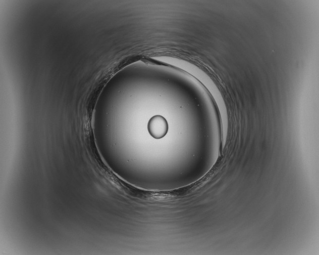 X0000116860617200912221140